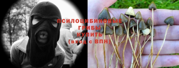 спайс Алексин