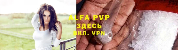 сатива Арсеньев